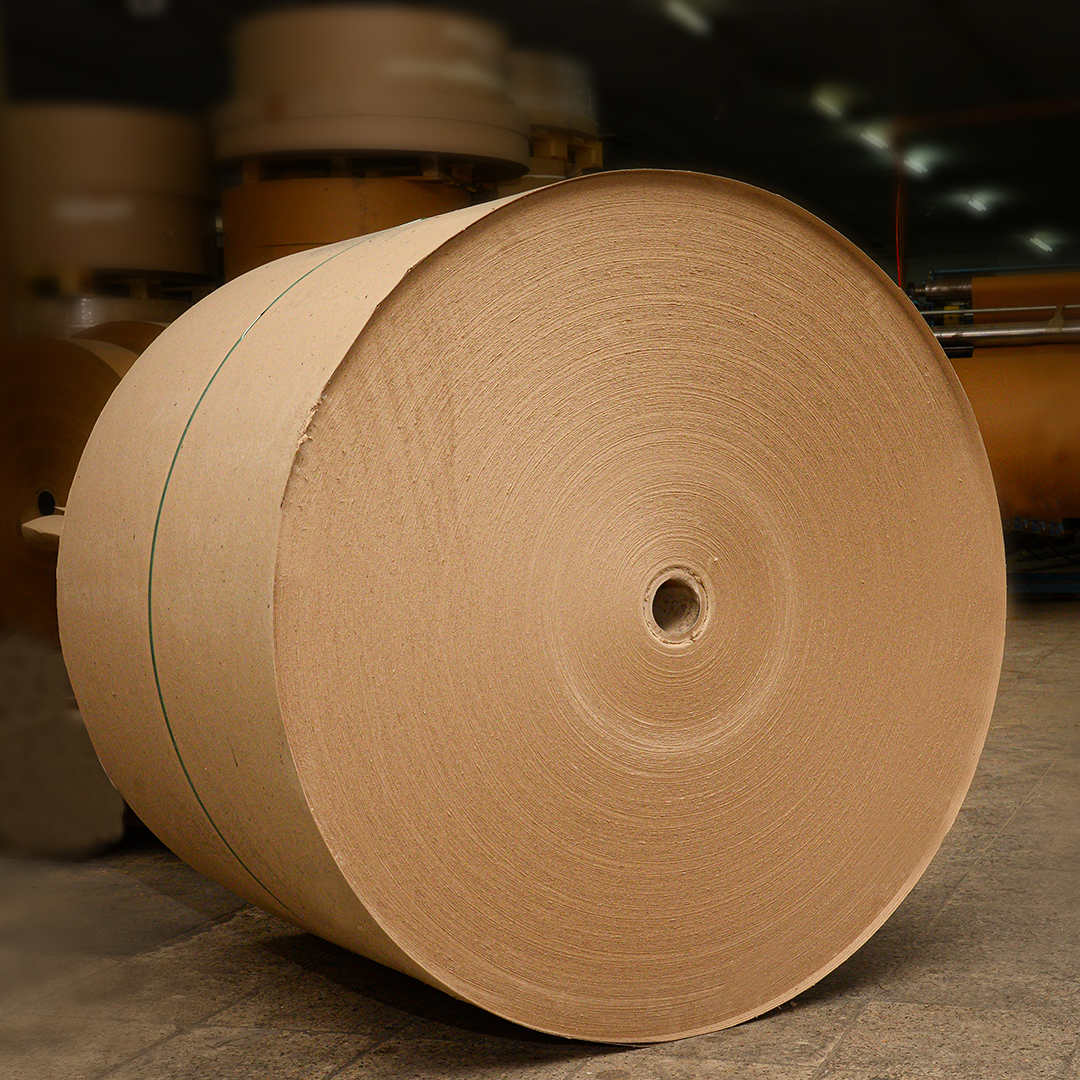 Kağıt ve Karton Masuraları